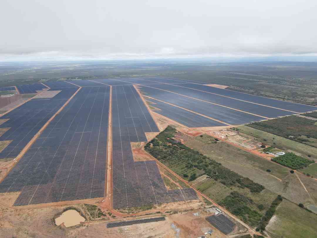 Imagen 5
